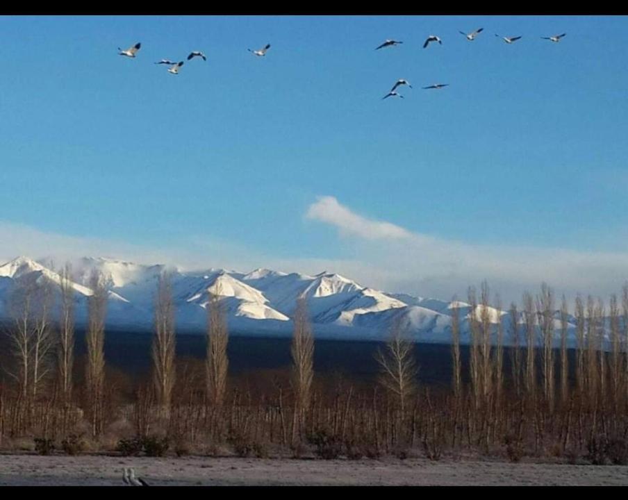 Rio Los Patos Barreal Εξωτερικό φωτογραφία