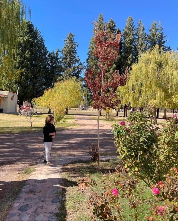 Rio Los Patos Barreal Εξωτερικό φωτογραφία