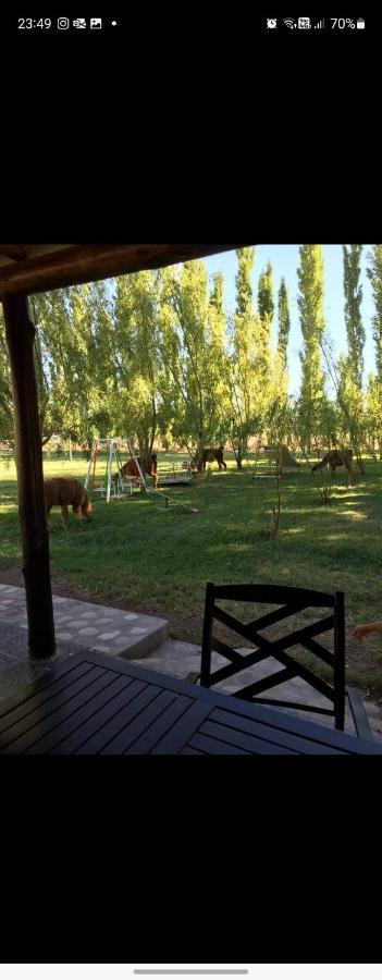 Rio Los Patos Barreal Εξωτερικό φωτογραφία