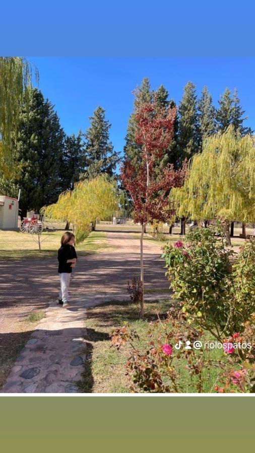 Rio Los Patos Barreal Εξωτερικό φωτογραφία