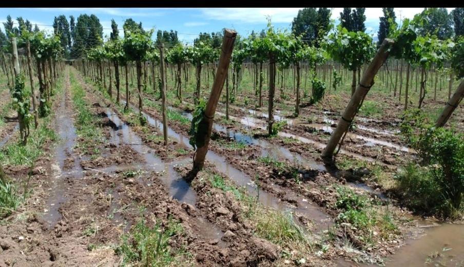 Rio Los Patos Barreal Εξωτερικό φωτογραφία